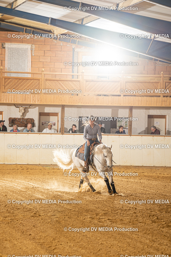 MIT00481 | dv-media-shop - Realisiert mit Pictrs.com