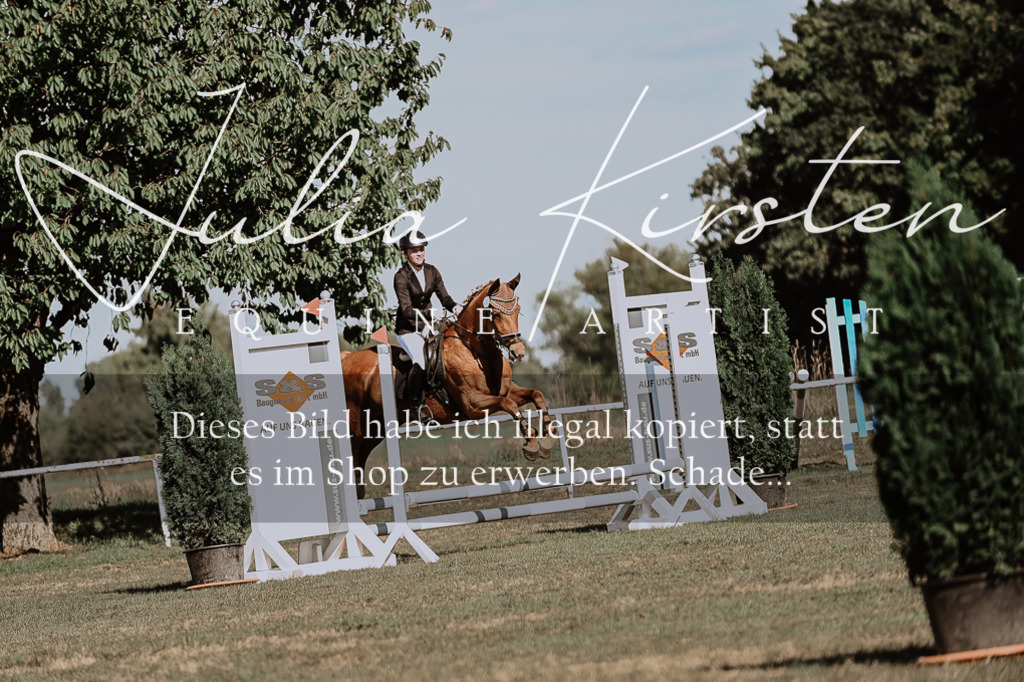 DSC_9311 | Pferde- und Turnierfotografie in Westsachsen. Pferdeportraits, Auftragszeichnungen und intuitive Kunst.