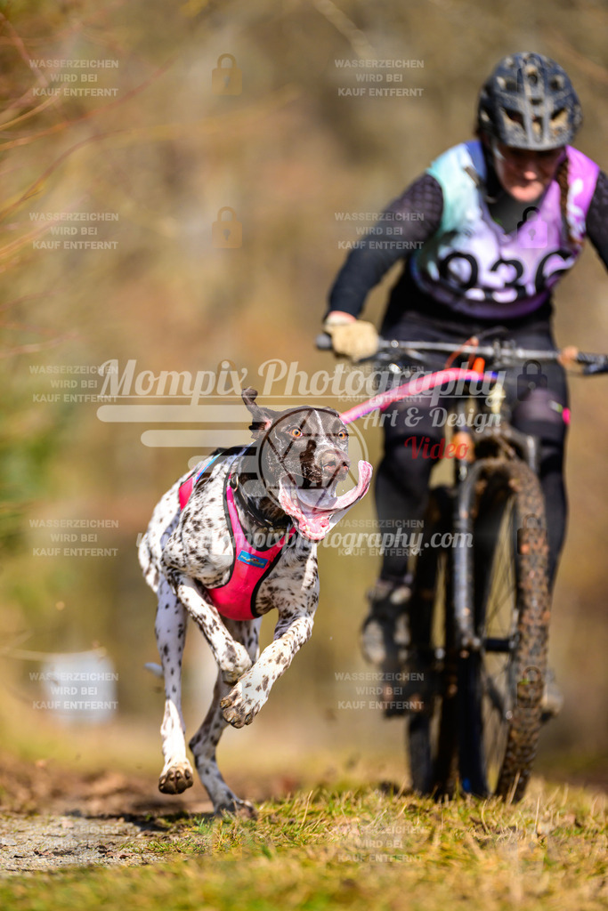 MompixPhotography_Schwabentrail2025_SO_Bike-9 | PayLife