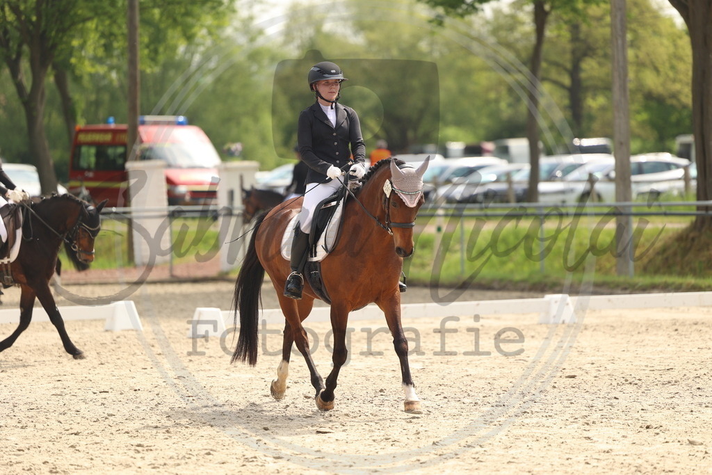 994A6837 | sabrinanicolaifotografie - Realisiert mit Pictrs.com