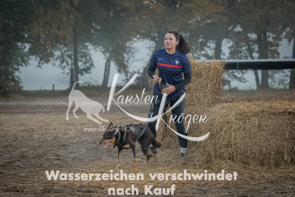 0816_ZZ97619 | kk-dogfotos
