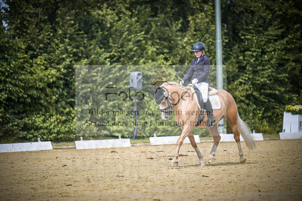 DOS_3811 | Entdecke hochwertige Reitturnierfotos von Foto Oger. Professionell, emotional und authentisch – jetzt Lieblingsmomente im Shop bestellen.Deutschlandweite Turnierfotografie. - Realisiert mit Pictrs.com