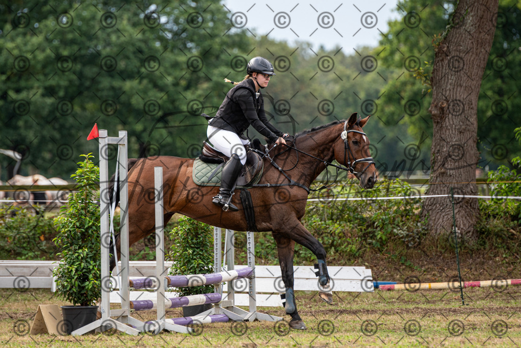 SHT_7555 | andre_photographic