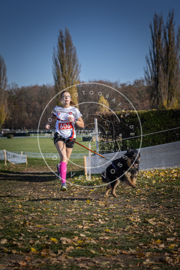 CaniXpix_DV3A9645 | Hundefotografie, Tierfotograf, Pfotenfotografie, Fotoshooting Hund, Hunde Portrait, Hundesport, Hundeportraits, Heideshooting, Hunde, Sportfotograf, Hundefotograf, Turnierhundsport, THS,  - Realisiert mit Pictrs.com