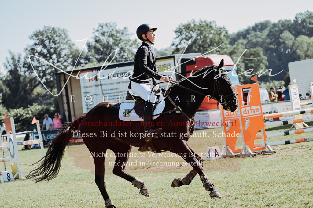 DSC_5729 | Pferde- und Turnierfotografie in Westsachsen. Pferdeportraits, Auftragszeichnungen und intuitive Kunst.