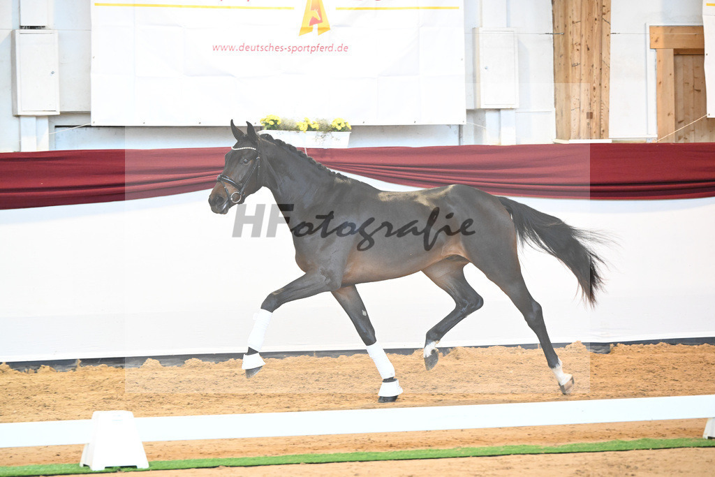 Kat-Nr. 76 v. Zackerey_Pfitzer_66221972 | hf-fotografie - Realisiert mit Pictrs.com