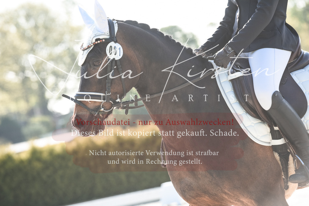 20230518_JK-Röhrsdorf-09-0368 | Pferde- und Turnierfotografie in Westsachsen. Pferdeportraits, Auftragszeichnungen und intuitive Kunst.