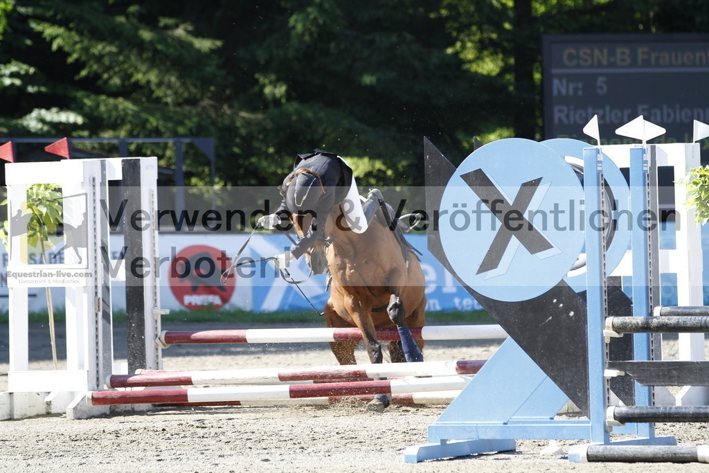 _MG_1342 | equestrian-live-com