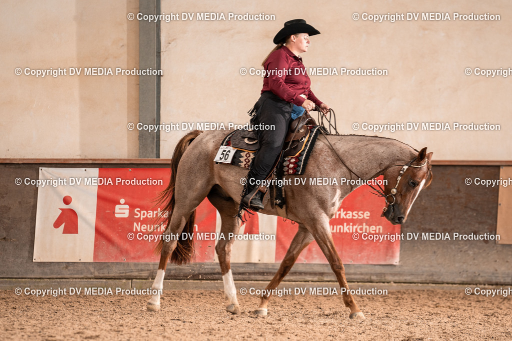 LM Heiligenwald Tag 2-1065 | dv-media-shop - Realisiert mit Pictrs.com