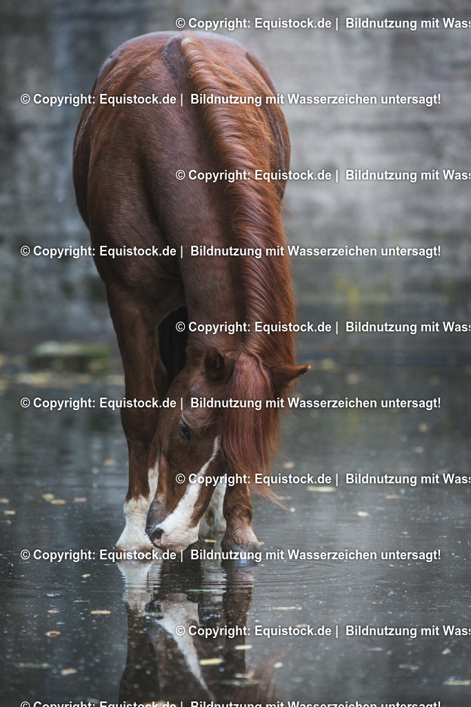 TS_20170425_Solido_Landschaftspark_0003 | Foto: Thomas Hartig