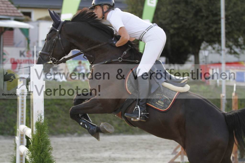 _MG_6515 | equestrian-live-com