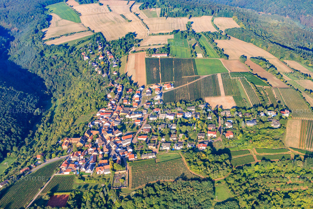 Luftbild: Winzerdorf auf der Höhe des Haardtrand des Pfälzerwalds im Morgenlicht in Battenberg im Bundesland Rheinland-Pfalz in Deutschland. Foto: IMG_44445.jpg vom 20.08.2011 durch Werner Riehm/FLY-FOTO.de