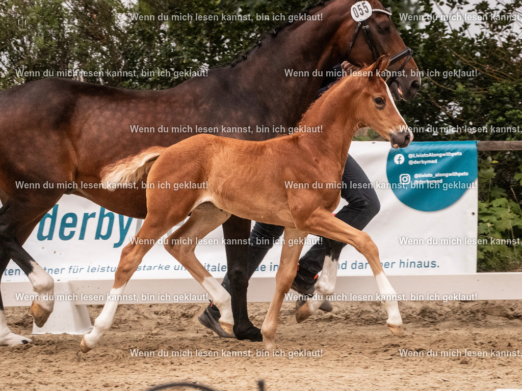 A10I5577 | photographylinaismer - Realisiert mit Pictrs.com