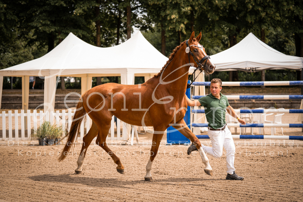 4.Fr00153 | Leoni Ertmer Photography - Realisiert mit Pictrs.com