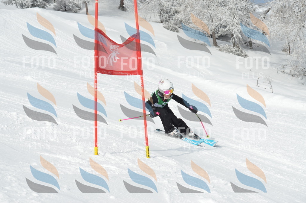 D8495 | holidayphoto