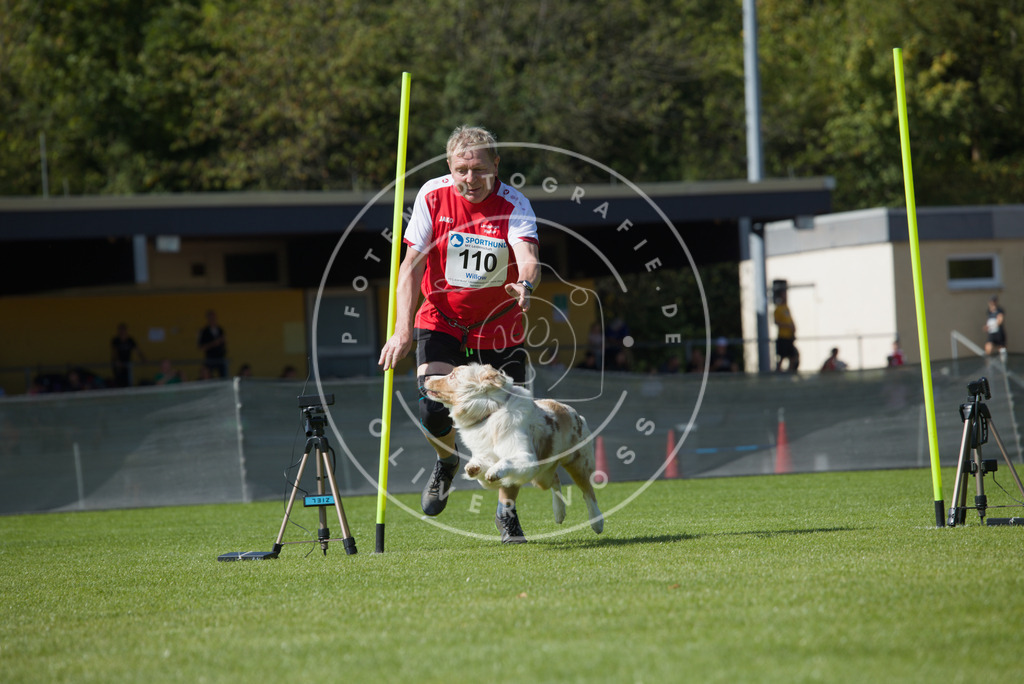 0L8A2689 | Hundefotografie, Tierfotograf, Pfotenfotografie, Fotoshooting Hund, Hunde Portrait, Hundesport, Hundeportraits, Heideshooting, Hunde, Sportfotograf, Hundefotograf, Turnierhundsport, THS,  - Realisiert mit Pictrs.com
