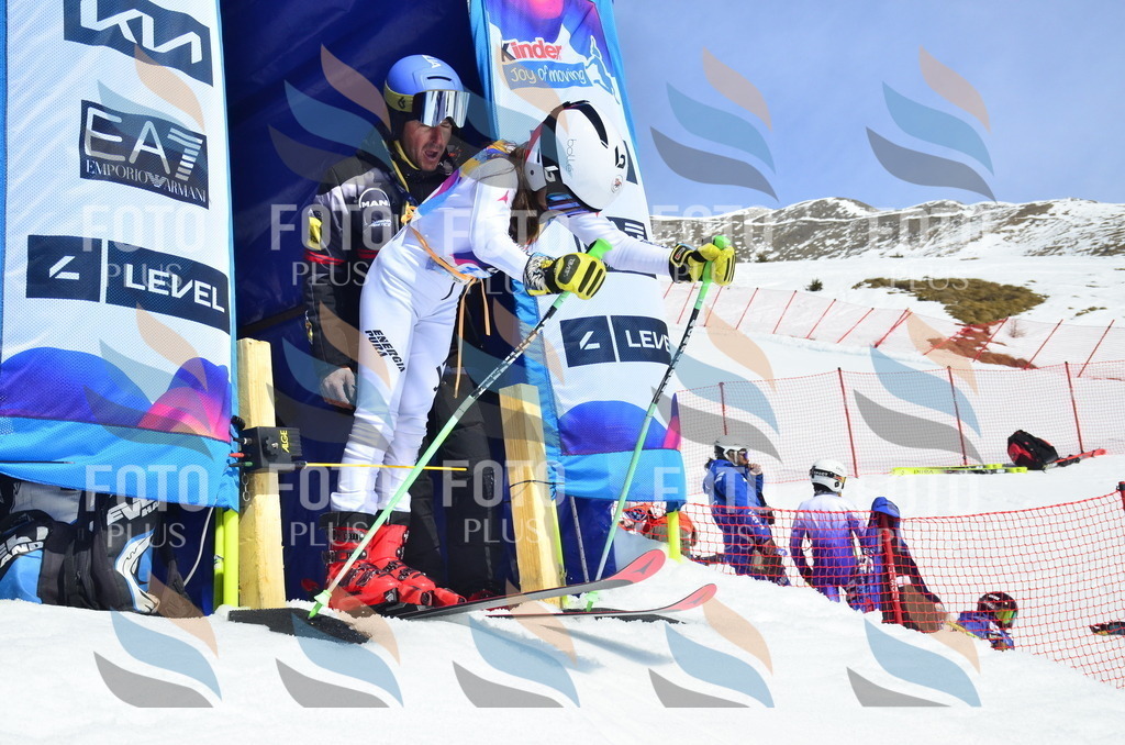 _ELE1112 | holidayphoto