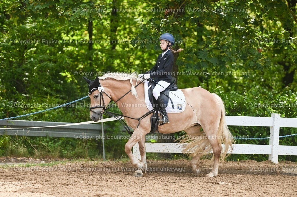 20230716_10-2_Reiter-WB Schritt - Trab - Galopp_0184 | equistock