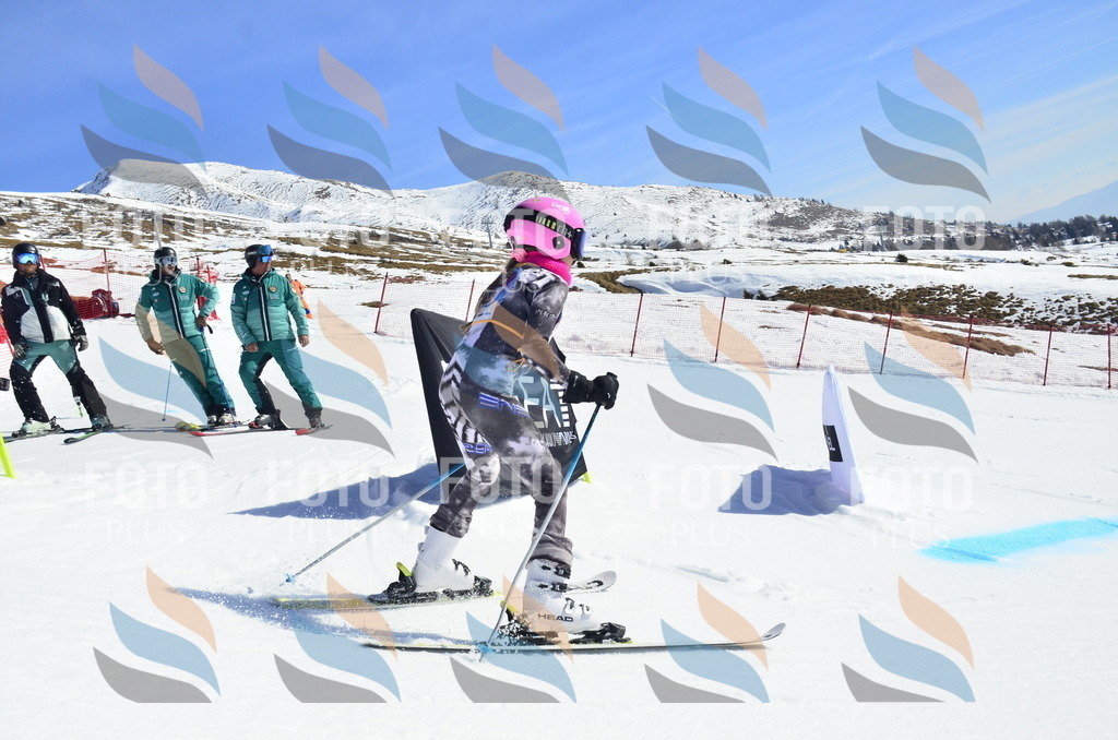 _ELE0120 | holidayphoto