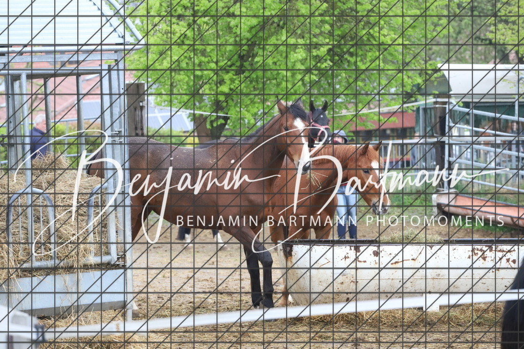 IMG_4240 | Benjamin Bartmann Photomoments