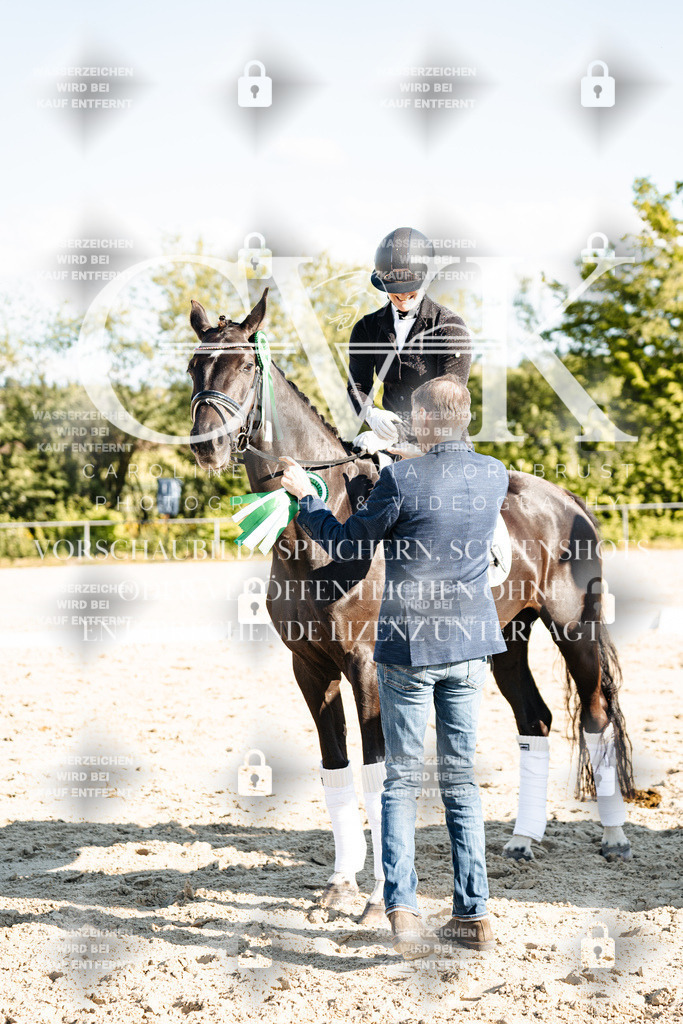 CK703592 | Turnierfotografie Pferdefotografie Trier Rheinland-Pfalz Pferdesport Reitsport Tierfotografie Sportfotografie Pferdevideo Pferdevideografie Equestrianvideography equestrianphotography  - Realisiert mit Pictrs.com