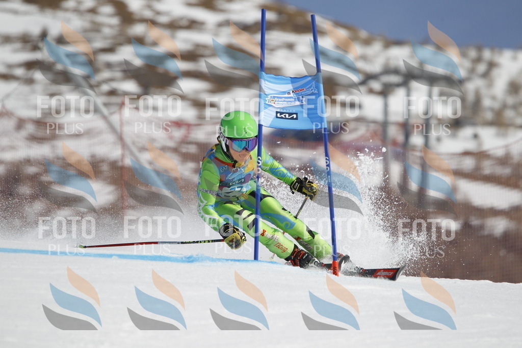 _U3G9932 | holidayphoto