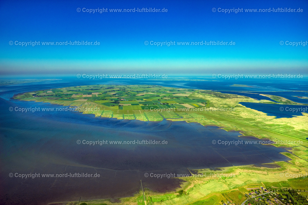 Nordstrand_ELS_8337100623 | NORDSTRAND 10.06.2023 Küsten- Landschaft mit Deich- Schutzstreifen in Süderhafen auf der Insel Nordstrand Nordfriesland im Bundesland Schleswig-Holstein, Deutschland. // Coastal landscape with dike protection strips in Suederhafen on the island of Nordstrand in the state Schleswig-Holstein, Germany. Foto: Martin Elsen
