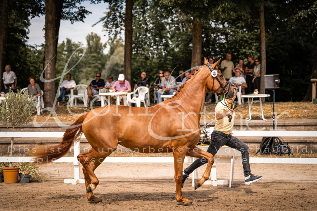 5.Fr00037 | Leoni Ertmer Photography - Realisiert mit Pictrs.com
