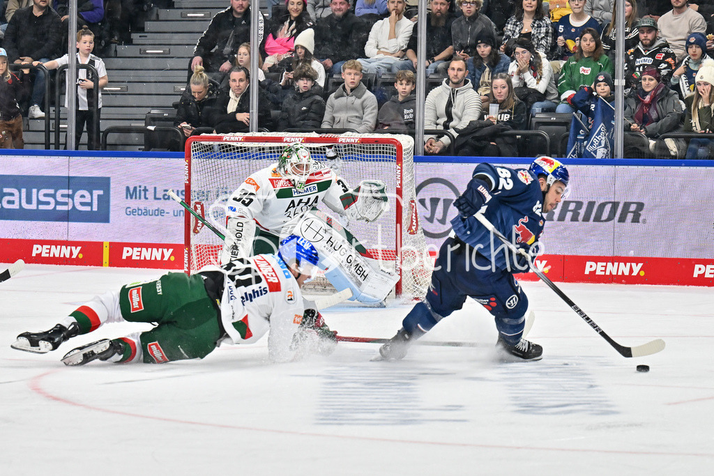 EHC RB München - Augsburger Panther | im Duell Alexander OBLINGER (Augsburger Panther #50) und Christopher DESOUSA (EHC RB Muenchen 82) / Zweikampf / DEL: EHC RB Muenchen - Augsburger Panther, SAP Garden am 23.11.2024