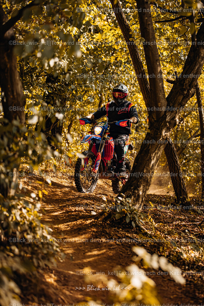 E68A5937 | blick_win_kel