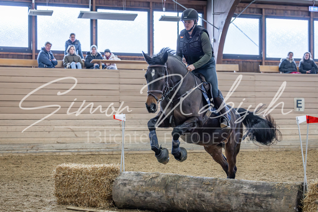 20260221-_3LI0001 | Tierfotografie Pferde, Hunde, Katzen, Haustiere.
Turnierfotografie Reitturniere, Reiten, Springreiten, Dressur in Hanau, dem Main-Kinzig-Kreis und dem Rhein-Main- Gebiet um Frankfurt