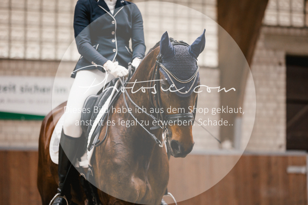3I6A8774 | Stimmungsvolle Portraits und Reitsportfotografie im Ruhrgebiet und im Münsterland.

Pferdefotografie, Hundefotografie, Tierfotografie, Reportagen, Portraits von Tier und Mensch, Turnierfotografie in Bochum, Recklinghausen, Marl, Haltern am See, Dülmen.. - Realisiert mit Pictrs.com