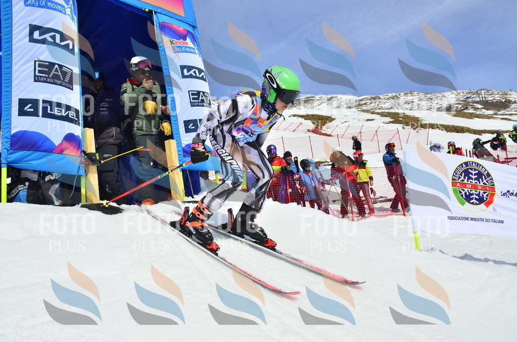 _ELE1944 | holidayphoto