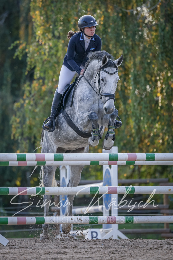 20251012-_3LI5742 | Tierfotografie Pferde, Hunde, Katzen, Haustiere.
Turnierfotografie Reitturniere, Reiten, Springreiten, Dressur in Hanau, dem Main-Kinzig-Kreis und dem Rhein-Main- Gebiet um Frankfurt