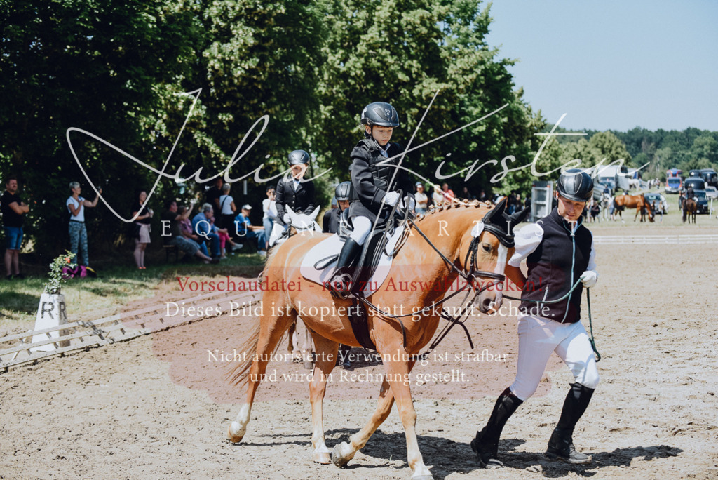 DSC_2459 | Pferde- und Turnierfotografie in Westsachsen. Pferdeportraits, Auftragszeichnungen und intuitive Kunst.