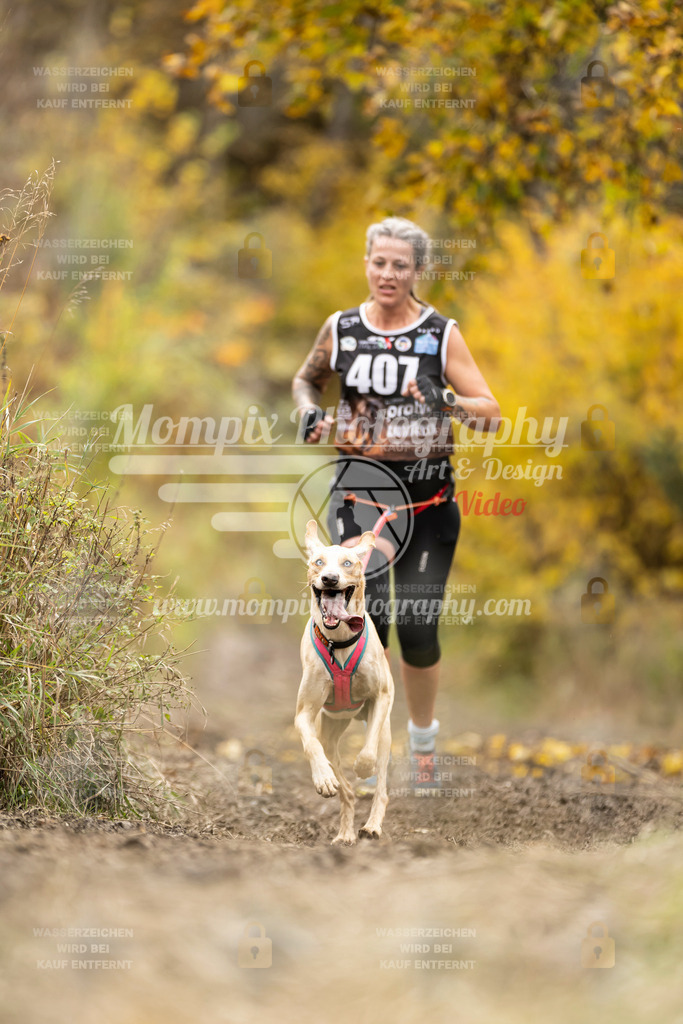 MompixPhotography_ICF_WC_2024_SA_Run_-375 | PayLife