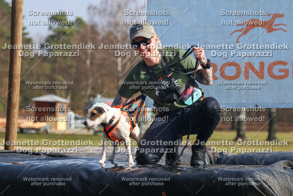 Dog Paparazzi - Strongdog North Mrz26-1975 | Dog Paparazzi Jeanette Grottendiek Fotografie & Videografie - Realisiert mit Pictrs.com