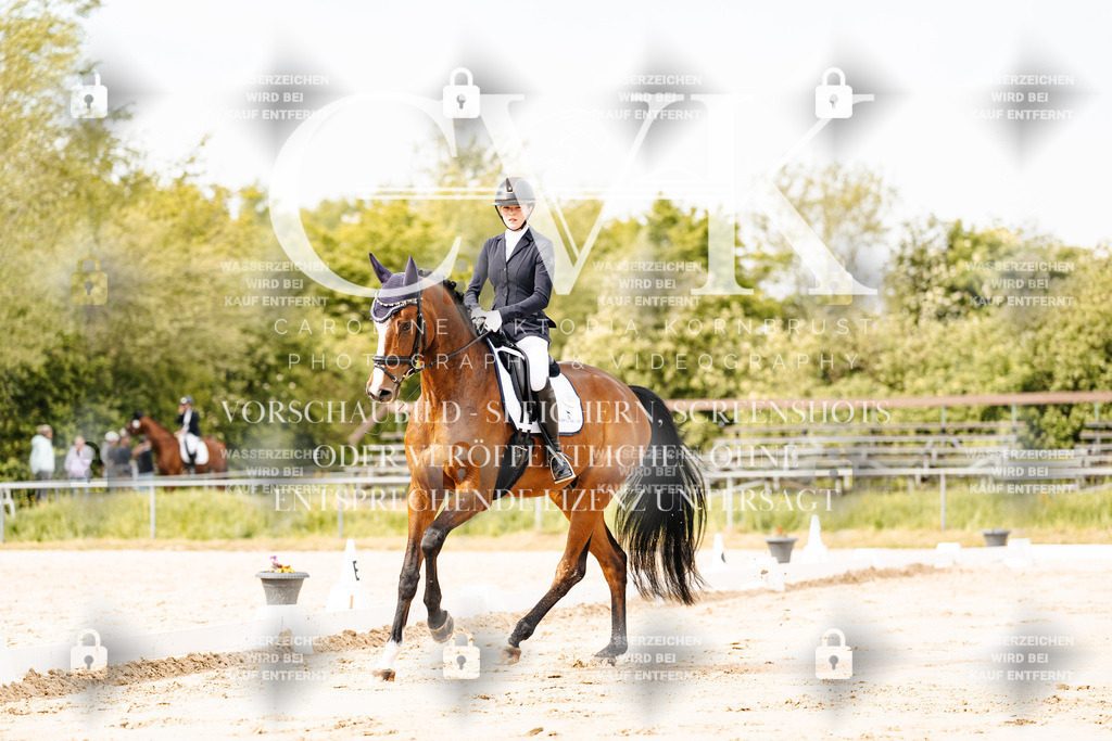 CK900702 | Turnierfotografie Pferdefotografie Trier Rheinland-Pfalz Pferdesport Reitsport Tierfotografie Sportfotografie Pferdevideo Pferdevideografie Equestrianvideography equestrianphotography  - Realisiert mit Pictrs.com