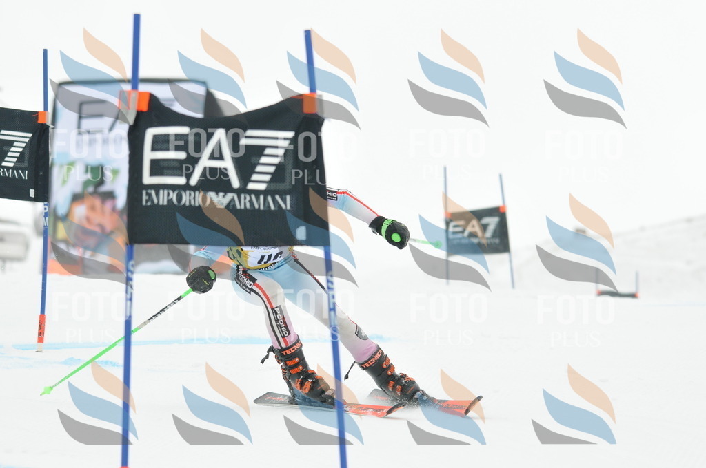 DSC_8130 | holidayphoto