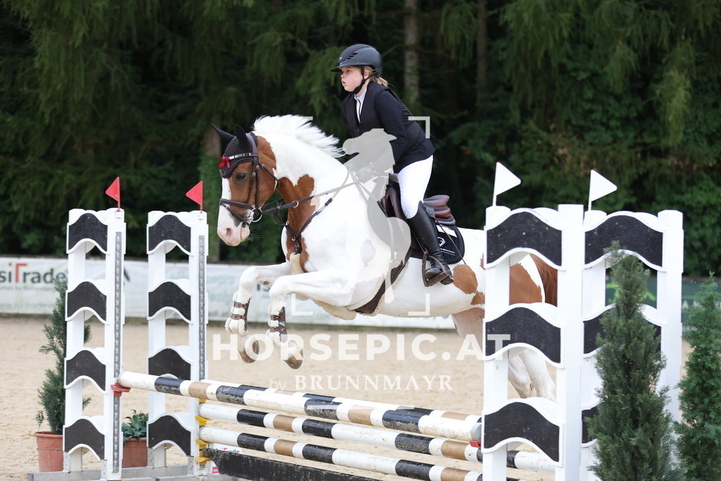 0P6A1957 | Willkommen bei Brunnmayr - Design & Fotografie – Ihrem Spezialisten für Reitturniere und Pferdeveranstaltungen in Oberösterreich, Salzburg und Bayern! Seit über 17 Jahren sind wir leidenschaftlich dabei.