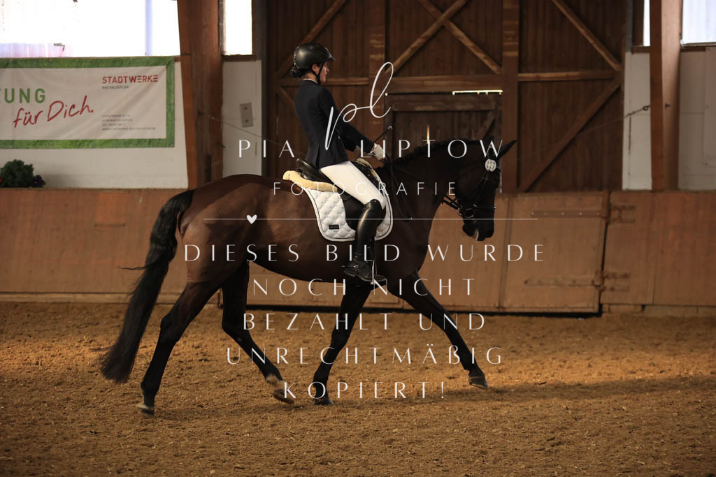 IMGT7405 | pl-fotografie