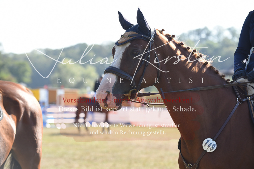 DSC_5469 | Pferde- und Turnierfotografie in Westsachsen. Pferdeportraits, Auftragszeichnungen und intuitive Kunst.