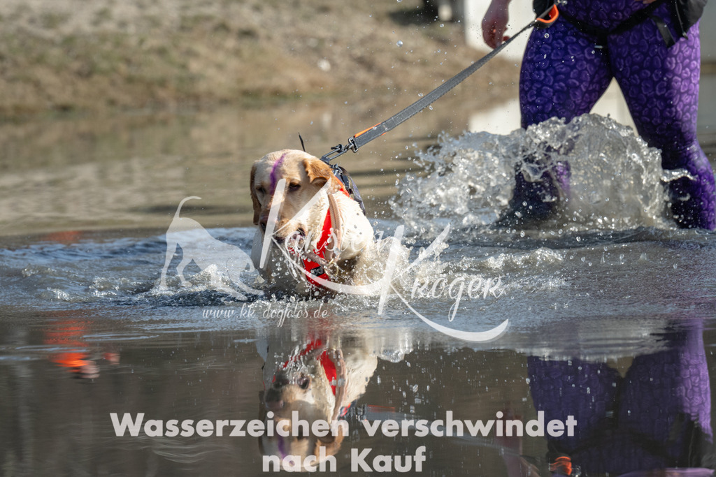 1252_ZZ92401 | kk-dogfotos