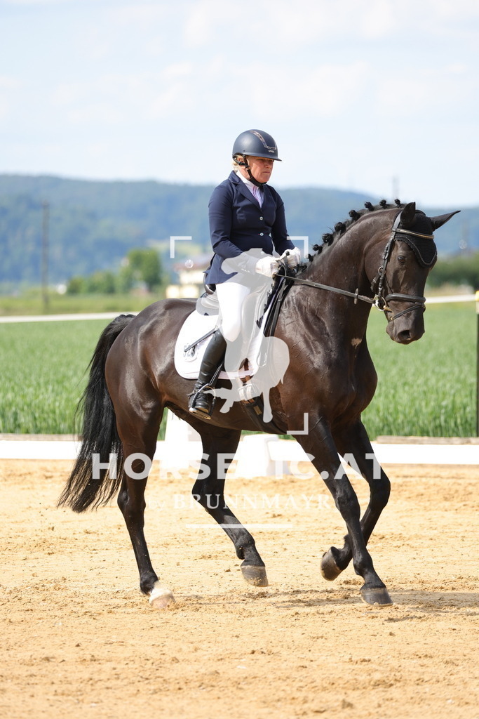 0P6A9119 | Willkommen bei Brunnmayr - Design & Fotografie – Ihrem Spezialisten für Reitturniere und Pferdeveranstaltungen in Oberösterreich, Salzburg und Bayern! Seit über 17 Jahren sind wir leidenschaftlich dabei.
