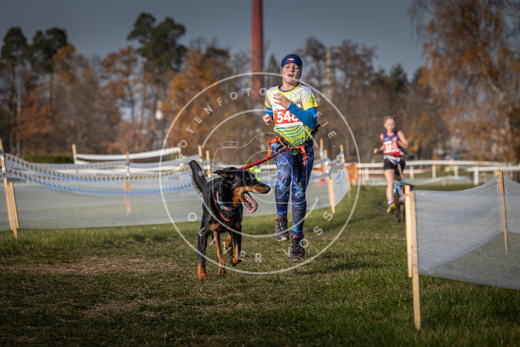 CaniXpix_0L8A9251 | Hundefotografie, Tierfotograf, Pfotenfotografie, Fotoshooting Hund, Hunde Portrait, Hundesport, Hundeportraits, Heideshooting, Hunde, Sportfotograf, Hundefotograf, Turnierhundsport, THS,  - Realisiert mit Pictrs.com