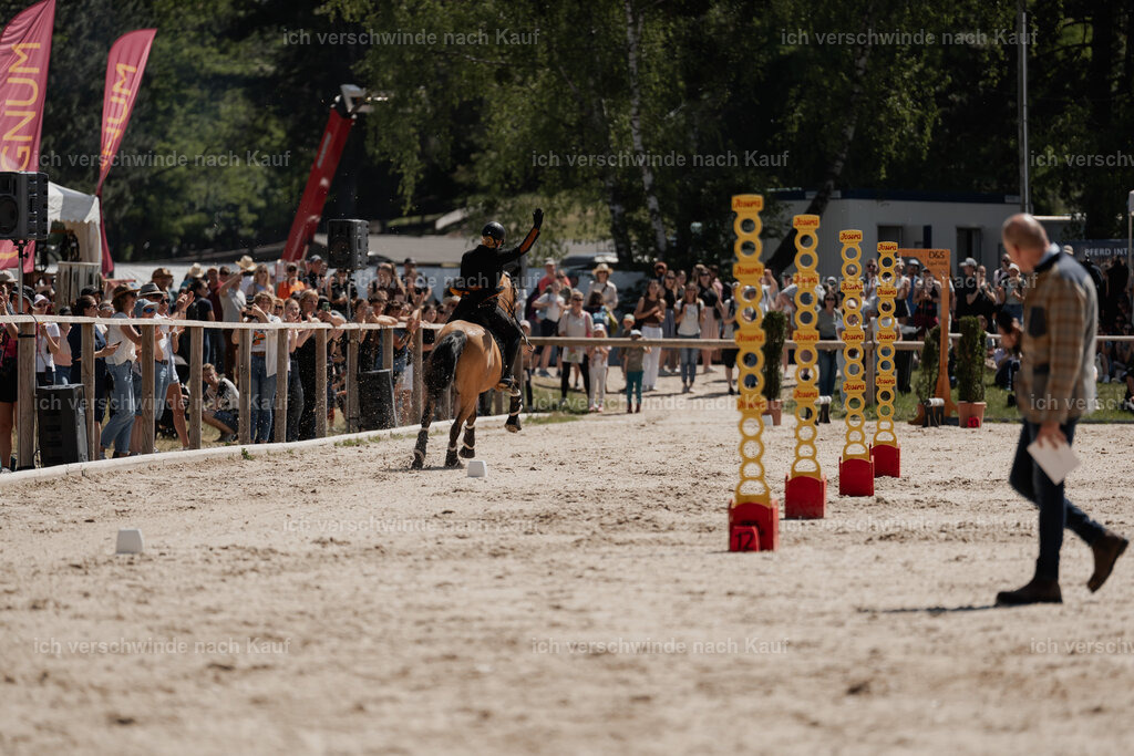 WE_SP_Stoib_319_PI2025_1752 | Pferd International München 2025
