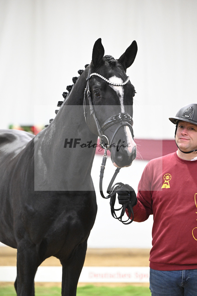 Kat-Nr. 59 Bloomberg x Gribaldi_T. _Stefan Schumacher_47252201 | hf-fotografie - Realisiert mit Pictrs.com