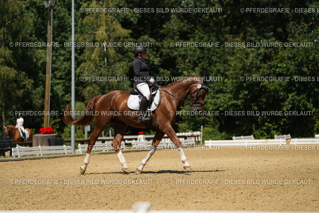 DSC05201 | Pferdegrafie