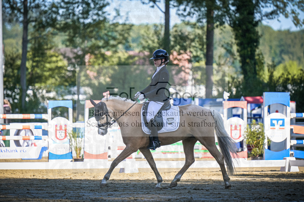 DOS_4646 | Entdecke hochwertige Reitturnierfotos von Foto Oger. Professionell, emotional und authentisch – jetzt Lieblingsmomente im Shop bestellen.Deutschlandweite Turnierfotografie. - Realisiert mit Pictrs.com