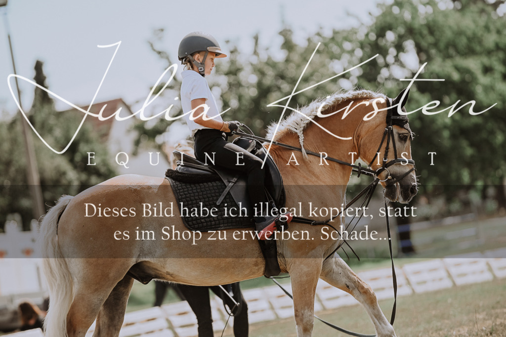 DSC_7739 | Pferde- und Turnierfotografie in Westsachsen. Pferdeportraits, Auftragszeichnungen und intuitive Kunst.
